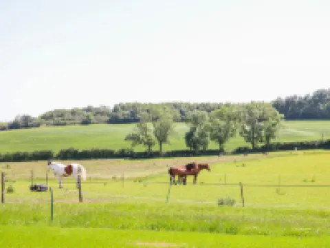 葛魯姆小屋酒店