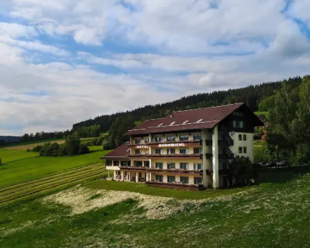 Hotel Sonnbichl Hotels in Lam