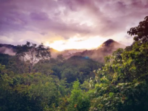 Paradise Wild Hills Kodachadri Hotels in Shimoga