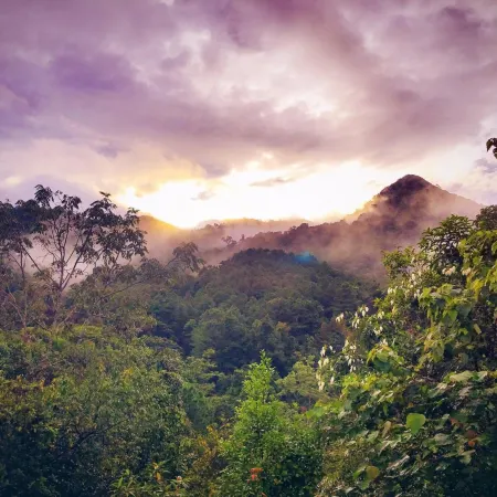 Paradise Wild Hills