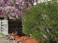 Lakeshor Motor Inn Hotels in Virginia