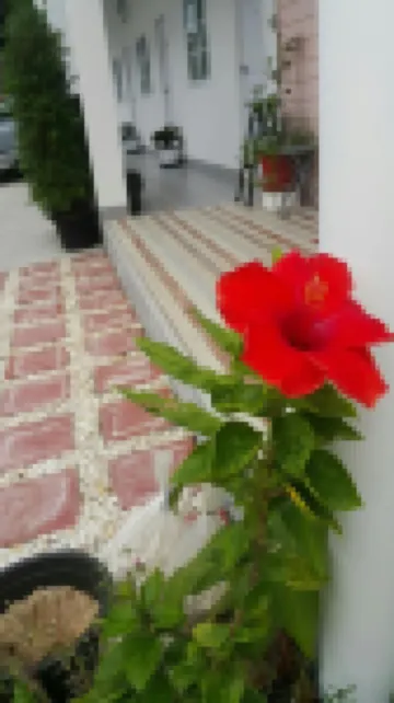 帕奇與普羅家庭酒店