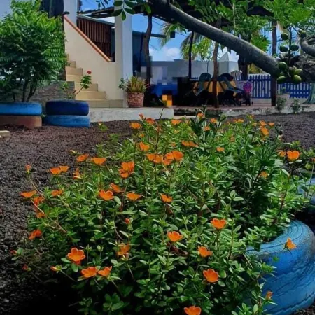 Hospedaje Delfin Azul