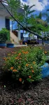 Hospedaje Delfin Azul