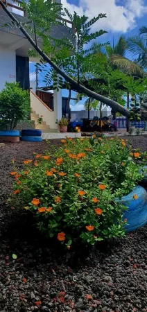 Hospedaje Delfin Azul Отели в г. Исабела