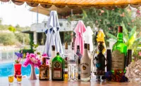 帕特若斯酒店 - 酒吧