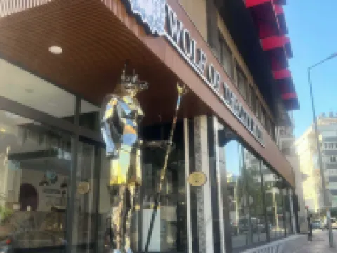 วูล์ฟ ออฟ เดอะ ซิตี้ โฮเทล แอนด์ สปา โรงแรมในอันตัลยา