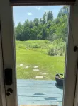The Lily Pad