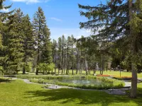 Allod Park Haus C 306