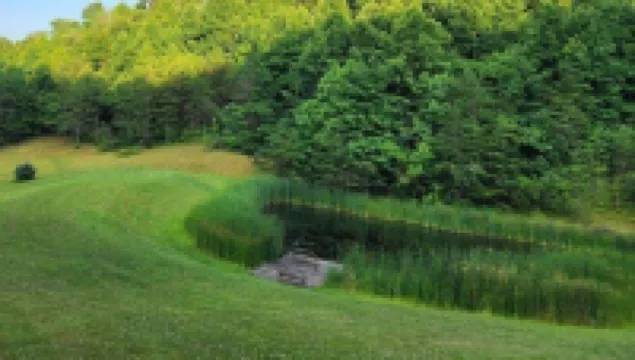 Mason Hollow Hideaway Cozy cabin with WiFi and AC in peaceful Whitley County KY