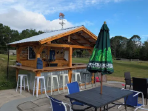 Blue Bear Inn Hotels in Hillsborough County