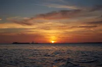 Fabulous Coastal Cottage on the Edge of a Woodland Nature Reserve, Yarmouth IOW