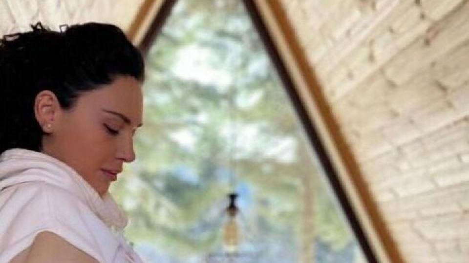 Cabin in the forest, near to ski lift, provide breakfast and dinner