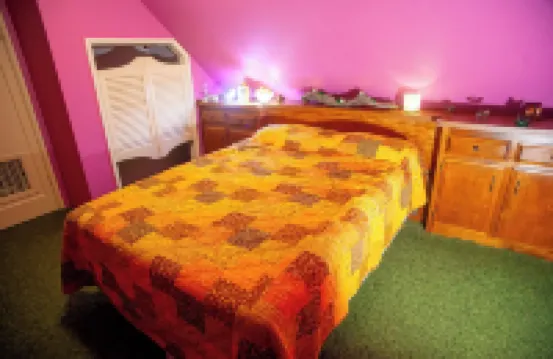 1940s Storybook Knotty Pine Cabin in Crestline, Absolute Privacy