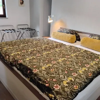 Chalet, with fenced garden of 200m2. Your dog is also welcome