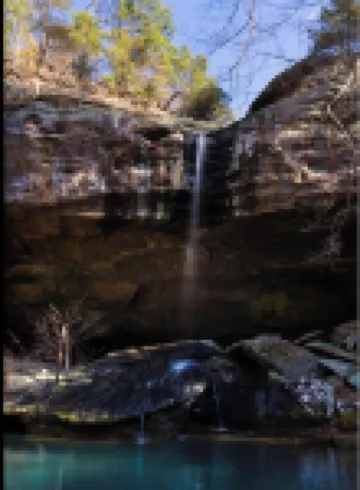 A Wonderful 3 Bedroom House Close to the Shawnee National Forest !