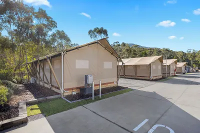 Big4 Yarra Valley Park Lane Holiday Park Hotel a 