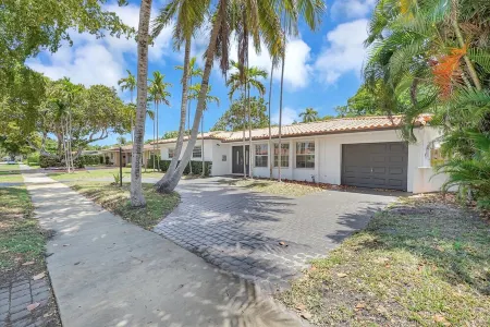 The Oasis Under the Palms