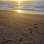 BLUE HOUSE AN EXCLUSIVE PENTHOUSE ON THE SEA OF THE AEOLIAN ISLANDS WITH PARKING Hotels in Gioiosa Marea