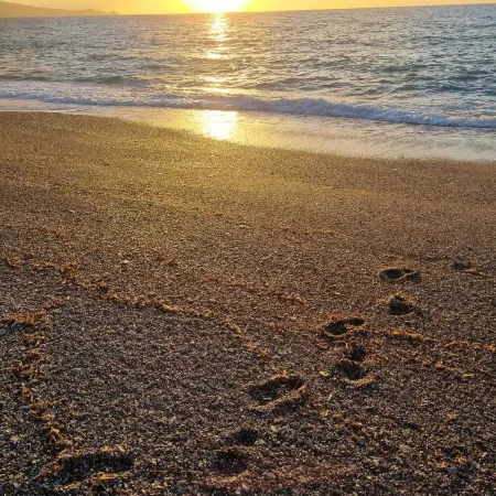 BLUE HOUSE AN EXCLUSIVE PENTHOUSE ON THE SEA OF THE AEOLIAN ISLANDS WITH PARKING Отели в г. Джойоза-Мареа