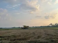 Rumah Burong - A home in a lush paddy field Hotels in Bachok