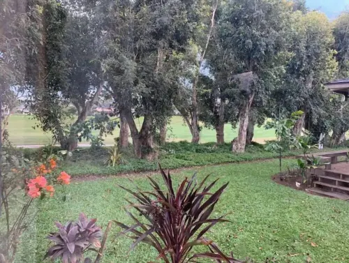 Aloha! The North Shore of Kauai awaits in this amazing, centrally located Condo!