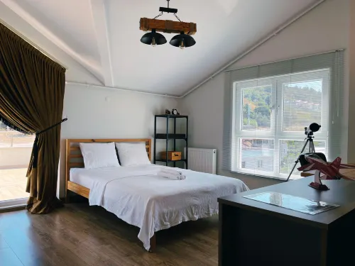 VILLA KURTULDU Hotels in Gemlik