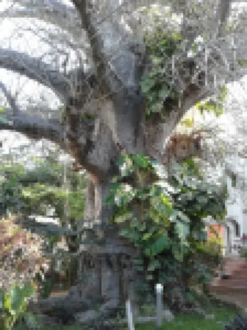 SECOND HOME WITH ONLY 5MINS WALK TO THE BEACH