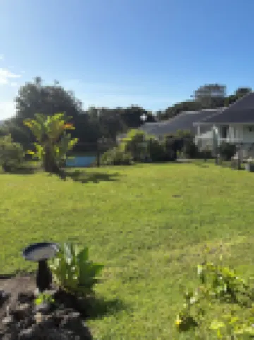 애쉬 그로브 부티크 모텔  호텔