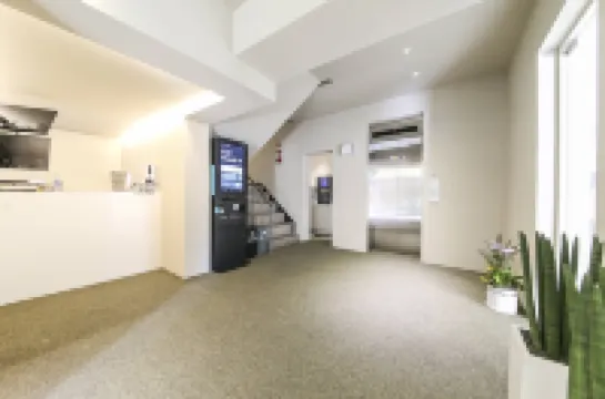 Daejeon Station Brown Dot