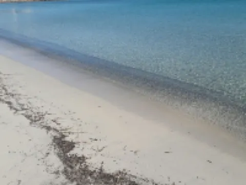 B&b la Casa Nel Vento Hotels in Torpe'