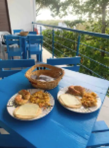 Sukha Hippocampus San Andres Isla