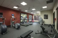 Hilton Garden Inn Bolingbrook - Kuntosalit