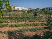 Creta Maris Resort Hotels in Hersonissos