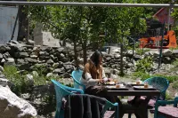 Skyard Hostel & Homestay- Harsil Valley - Mountain View