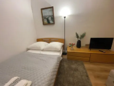 Business & Travel Apartment walking distance to city center