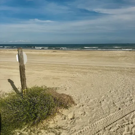 The Breeze Beachfront Resort