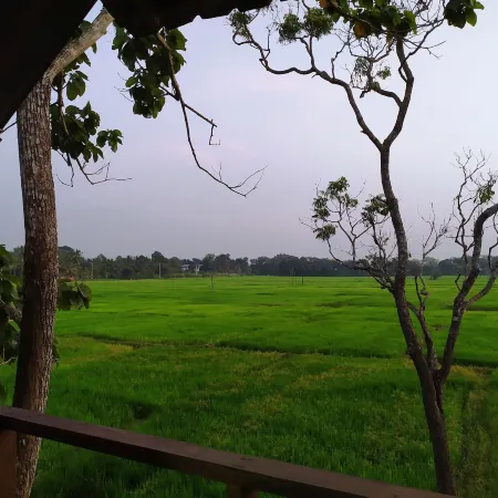 Sigiriya Paddy Field Hut