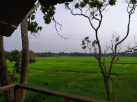 Sigiriya Paddy Field Hut - Mountain view