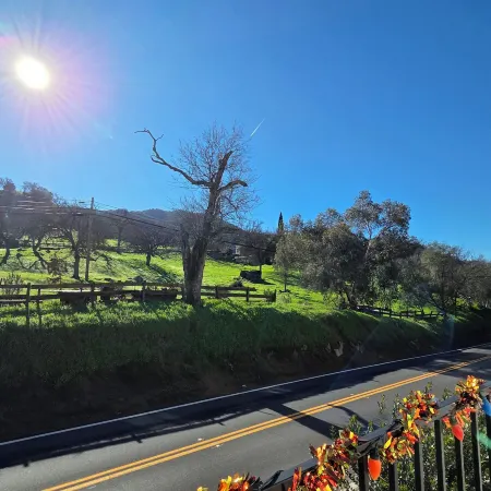 Sequoia Village