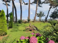 Kolkhida Resort & Spa Hotels in Ureki