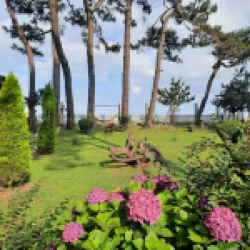 Kolkhida Resort & Spa Hotels in 