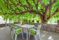 House Zeljka - Pet friendly