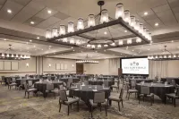 The Scottsdale Resort and Spa, Curio Collection by Hilton - Pet-friendly