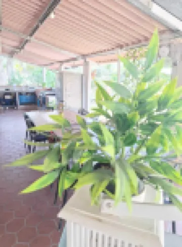 Acuarela Hostal