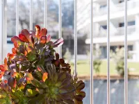 GuestReady - Ideal stay near Estádio do Dragão カンパニャンのホテル
