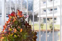 GuestReady - Ideal stay near Estádio do Dragão