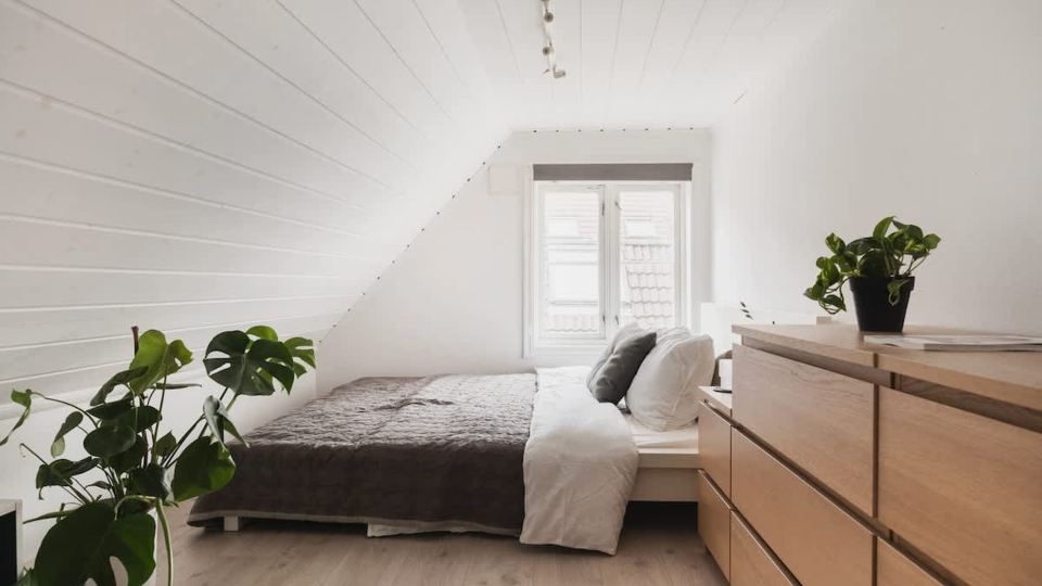 Cozy loft with king bed in the middle of town