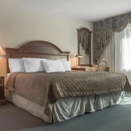 Rodeway Inn Fallsview
