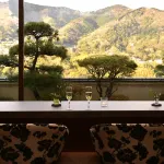 Hotel Zuiyo of Yugawara - Mountain view